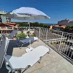 Rex Misano Adriatico