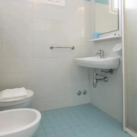 Rex 米萨诺阿德里亚蒂科