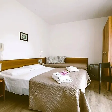 Hotel Rex 2*