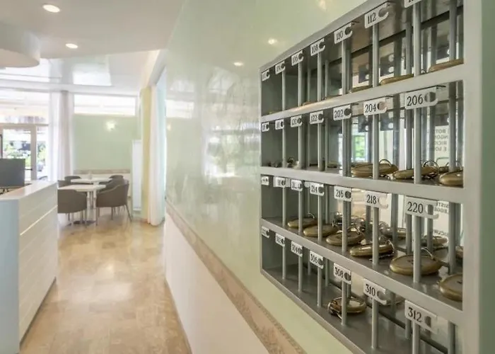 Rex Misano Adriatico